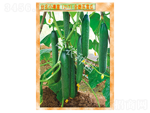 С��ͯ217ȫ��ϵ�S��-�S�ϷN��-�_�r�N��