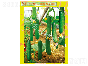 �_�rС���233ȫ���S��-�S�ϷN��-�_�r�N��