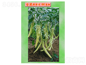 希臘黃-88號辣椒-辣椒種子-臺農種苗