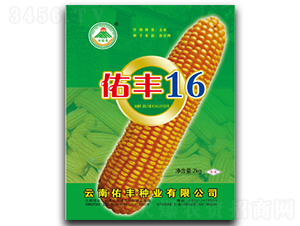 佑豐16-玉米種子-云南佑豐種業