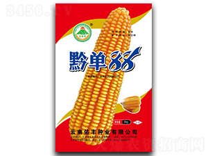 黔單88-玉米種子-云南佑豐種業