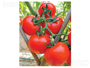 ����0626-�𸣈@�r�I