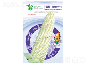 ��Ŵ2008-���׷N��-�𸣈@�r(n��ng)�I(y��)