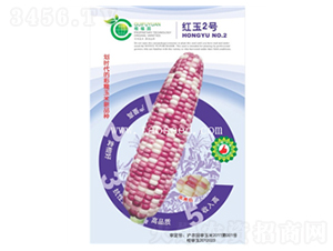 �t��2̖-���׷N��-�𸣈@�r�I