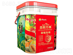 ��ݮ���Û_ʩ��-ʥ���f��-����Ԫ��