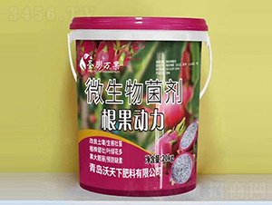 ��������΢�������-ʥ���f��-������