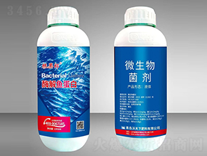 ø���~����-������-������