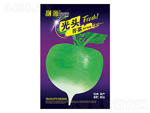 �}���N��-���^���-����