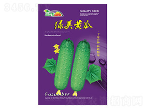 �S�ϷN��-�G���S��-����