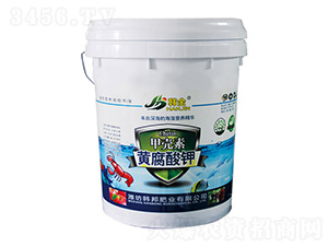 �ך����S�����-�n��-�n��ʘI(y��)