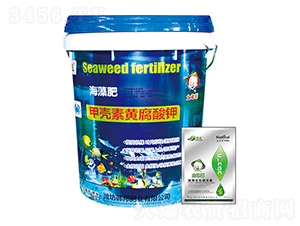 �ך����S����⛺����-�n��-�n��ʘI(y��)