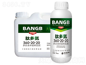 �Ķ൪360-20-20-��ʘI(y��)