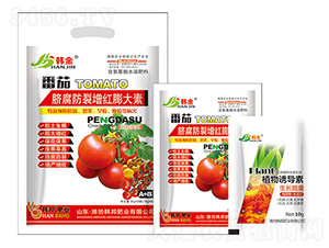 ����Ě���������t�����-�n��-�n��ʘI(y��)