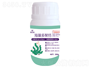 �������}-Ψ��