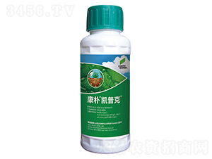 ����P�տ�-����