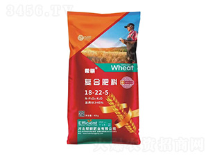 �ͺϷ���18-22-5-�͸��ʘI