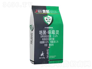 �ߵ���ʩ��׃Ę-ʩ������