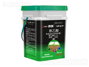 �T�l-ʩ������