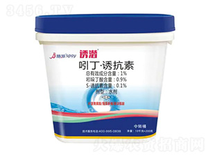 �T��-ʩ������