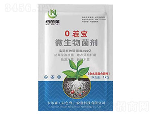 0�猚΢�������-�~���R-����ɭ