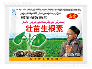 ���缤�����������-ʢ��-ʥ��ʘI