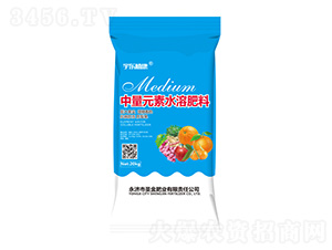 ����Ԫ��ˮ�ܷ���-��|ֲ��-ʥ��ʘI