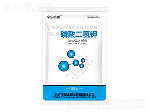 �ЙC����������-��|ֲ��-ʥ��ʘI