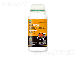 ��������ˮ�ܷ���-�������-��|ֲ��-ʥ��ʘI