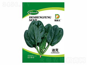 �Ͽ˲���-��ʢ�S