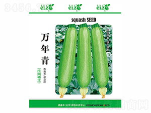 �f����-��ʢ�S