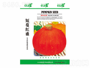 �����tʢ-��ʢ�S