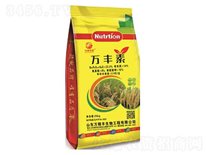 �f�S��25kg-�f���S