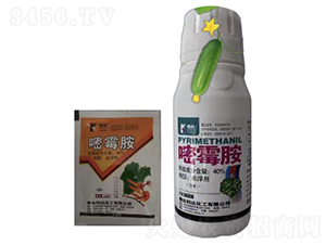 40%��ù���Ҹ���-���r��̩