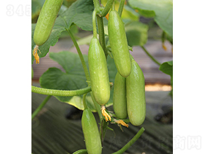 ��ͯ-ˮ���S��-���r�r�I