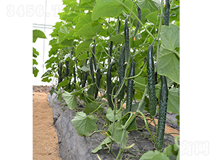 ���S��24-922-�S�ϷN��-���r�r�I