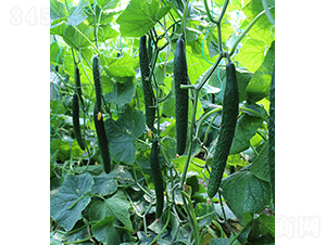 ���S��108-�S�ϷN��-���r�r�I