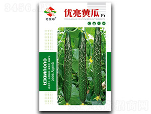 �����S��-�S�ϷN��-����ķ