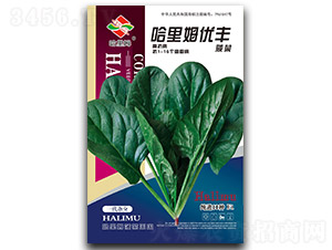 ����ķ���S-���˷N��-����ķ