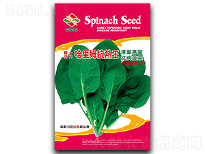 ����ķ������-���˷N��-����ķ