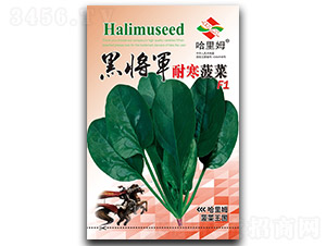 �ڌ�܊�ͺ�����-���˷N��-����ķ