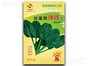 ����ķ���X����-���˷N��-����ķ