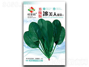 �����������-���˷N��-����ķ