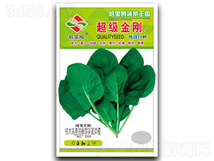 ��������-���˷N��-����ķ