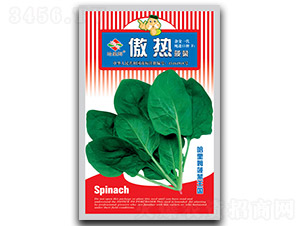 ����-���˷N��-����ķ