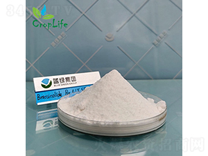 �|̦�؃���-����˹����