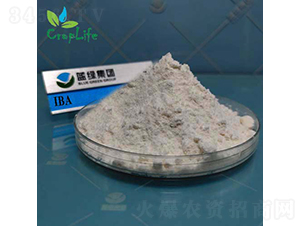 ���ᶡ��-����˹����