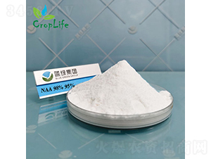 a�����ᣨNAA��-����˹����