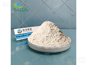 �{�h���}-����˹����