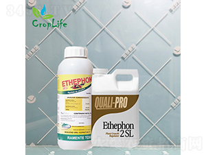 ��ϩ��-����˹����