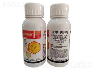 300��/�����ס����h������-�m�r�����_-������